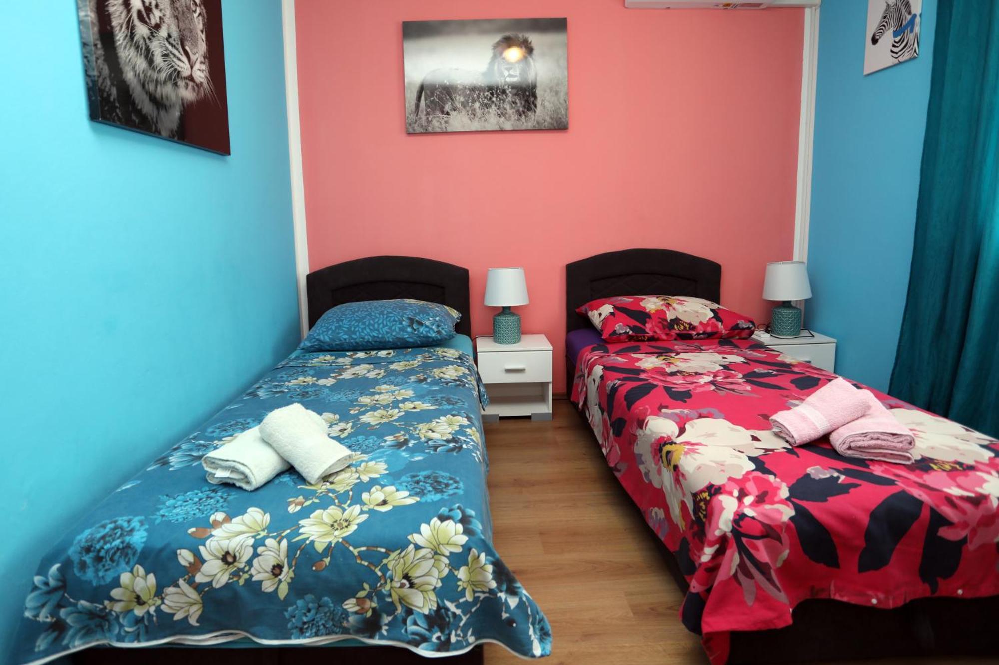Apartman Modry بولا المظهر الخارجي الصورة